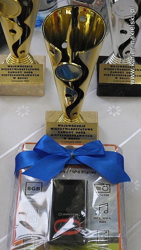 ?Festyn Rodzinny? w ZS w Szubinie