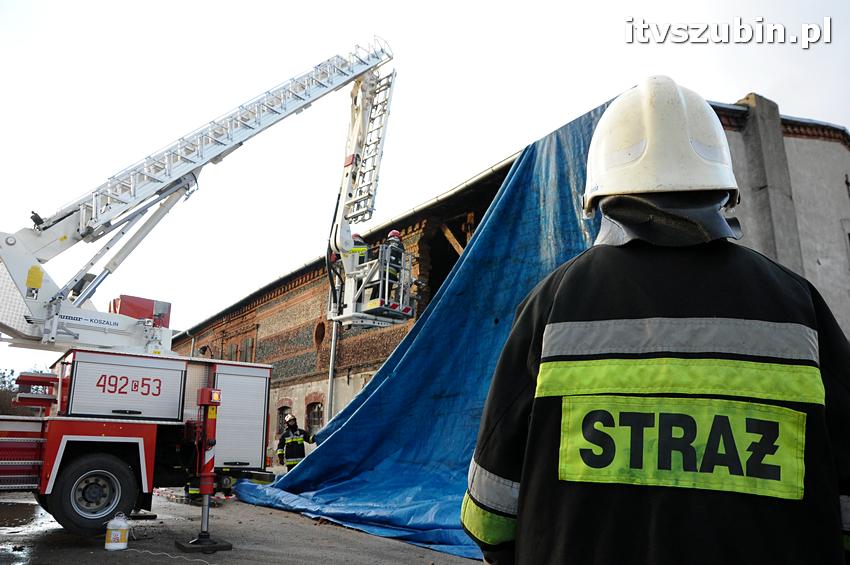  Bieg im. Feliksa Matuszaka