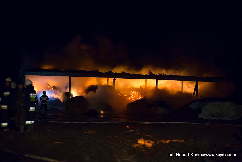  Bieg im. Feliksa Matuszaka