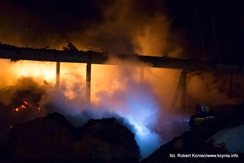  Bieg im. Feliksa Matuszaka