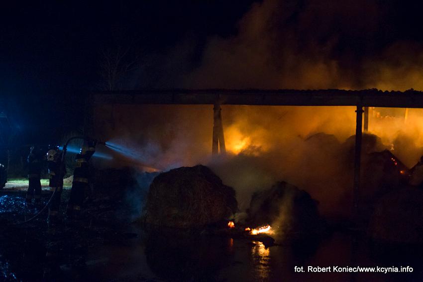  Bieg im. Feliksa Matuszaka