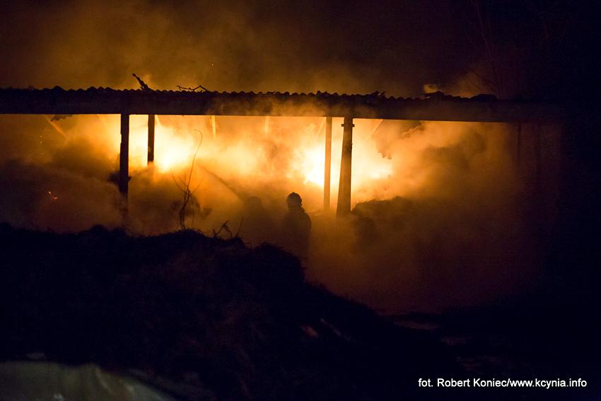  Bieg im. Feliksa Matuszaka