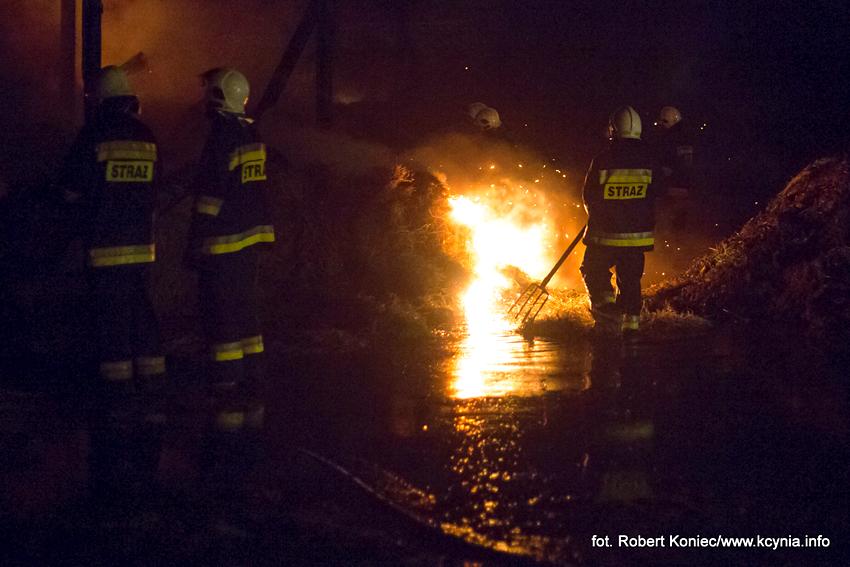  Bieg im. Feliksa Matuszaka