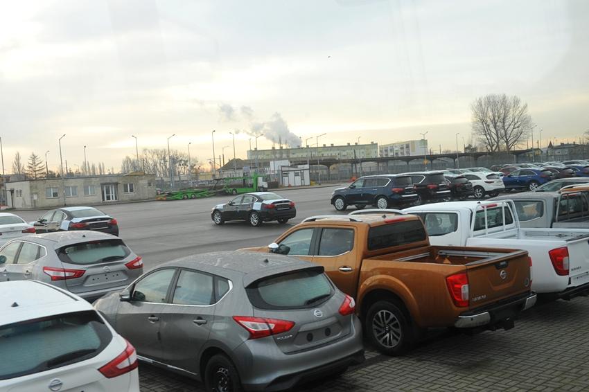 Dzień Profilaktyki