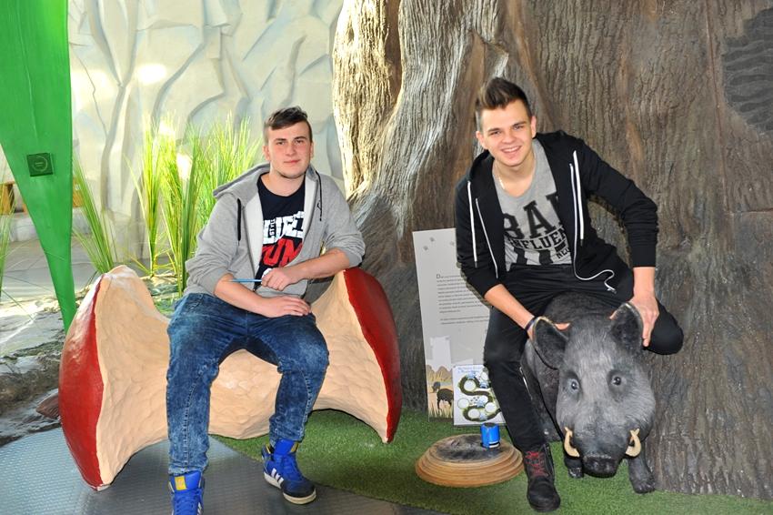 Dzień Profilaktyki