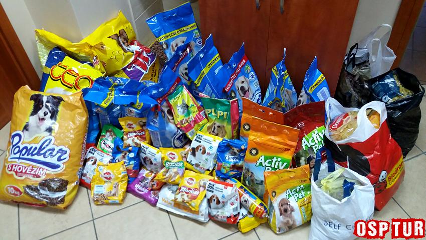 LKS Szubinianka Szubin - KS Chełminianka Chełmno 0:5