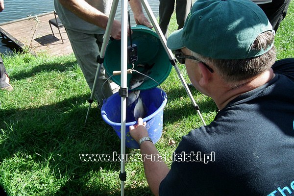 I Mistrzostwa Samorządowców Powiatu Nakielskiego w Wędkarstwie Spławikowym. Szubiniacy zamykali stawkę.
