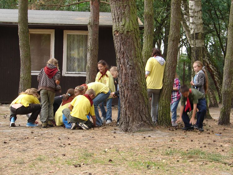 Harcerstwo powraca do Szubina