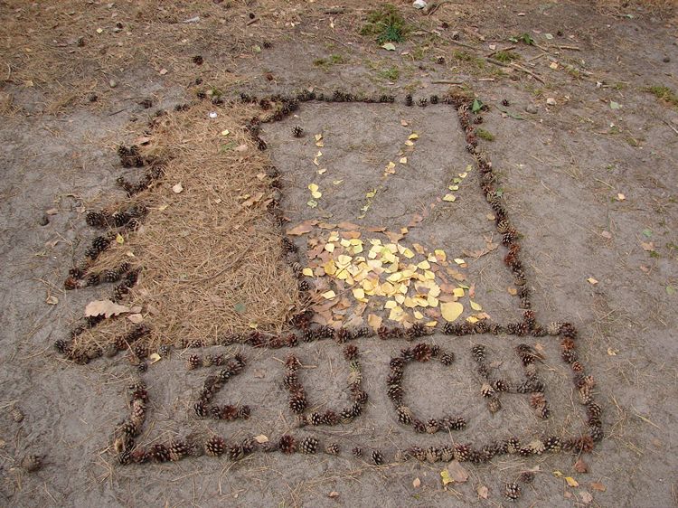 Harcerstwo powraca do Szubina