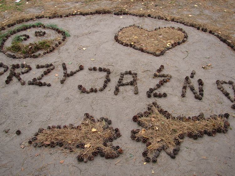 Harcerstwo powraca do Szubina