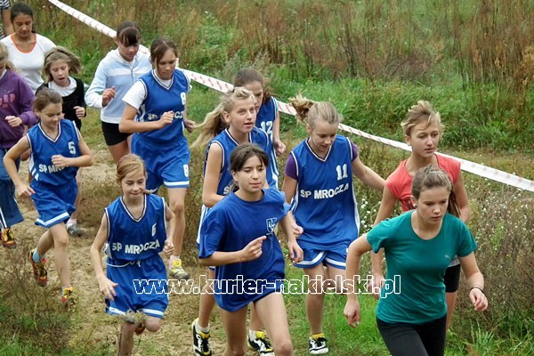Indywidualne Mistrzostwa Powiatu Nakielskiego w Biegach Przełajowych.