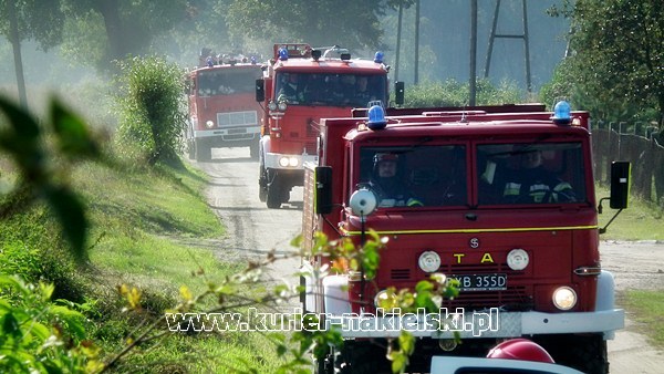 Ćwiczenia KOBRA-2011