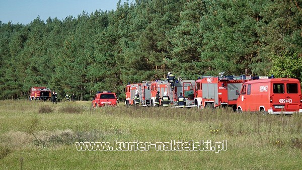 Ćwiczenia KOBRA-2011