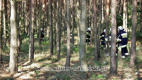 Ćwiczenia KOBRA-2011