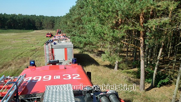 Ćwiczenia KOBRA-2011