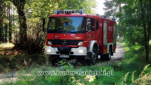 Ćwiczenia KOBRA-2011