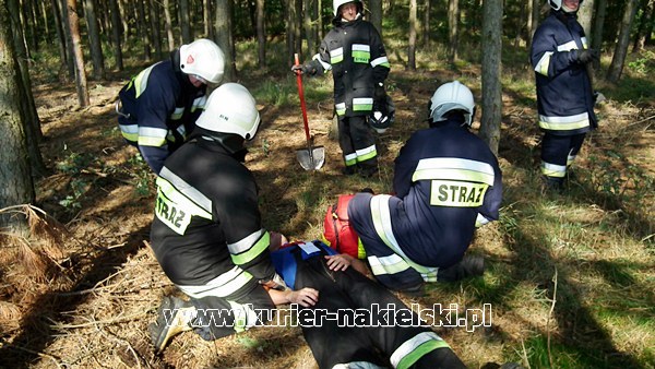 Ćwiczenia KOBRA-2011