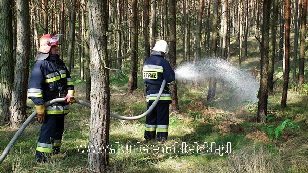 Ćwiczenia KOBRA-2011