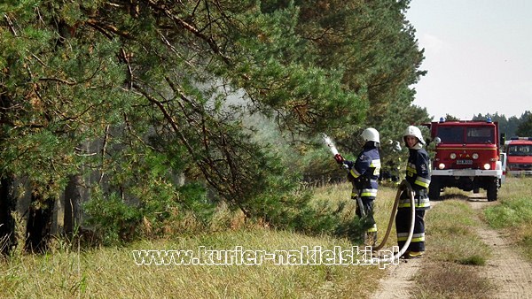 Ćwiczenia KOBRA-2011