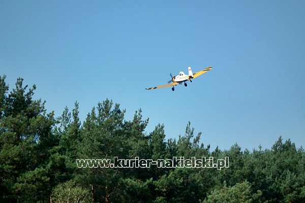 Ćwiczenia KOBRA-2011