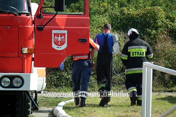 Ćwiczenia KOBRA-2011