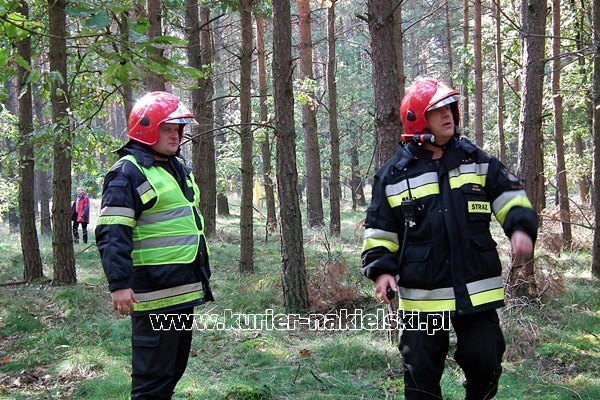 Ćwiczenia KOBRA-2011