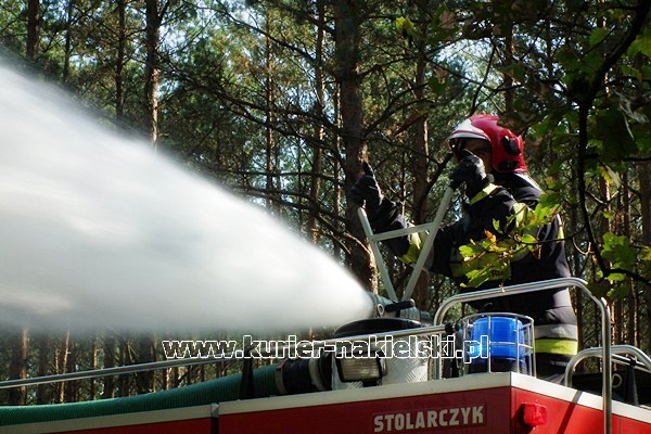 Ćwiczenia KOBRA-2011