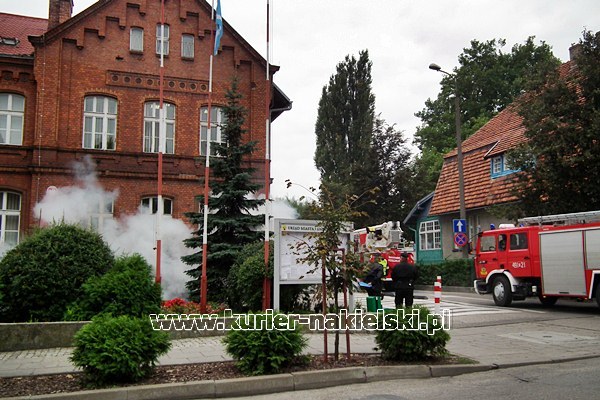 Drugi dzień ćwiczeń KOBRA-2011