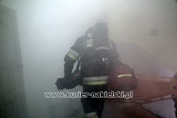 Drugi dzień ćwiczeń KOBRA-2011