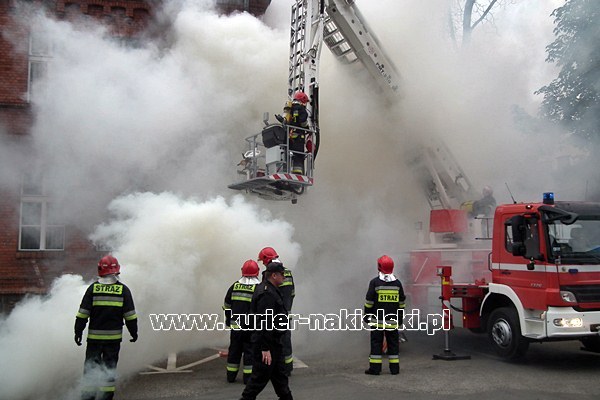 Drugi dzień ćwiczeń KOBRA-2011