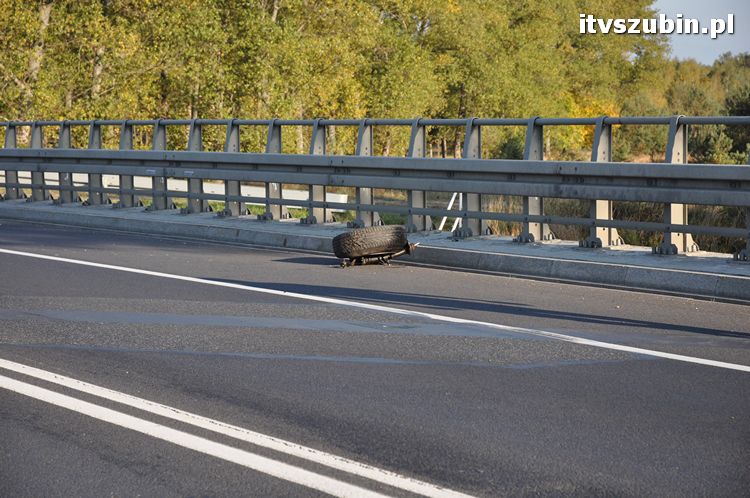 Kolizja drogowa trzech samochodów koło Zamościa.