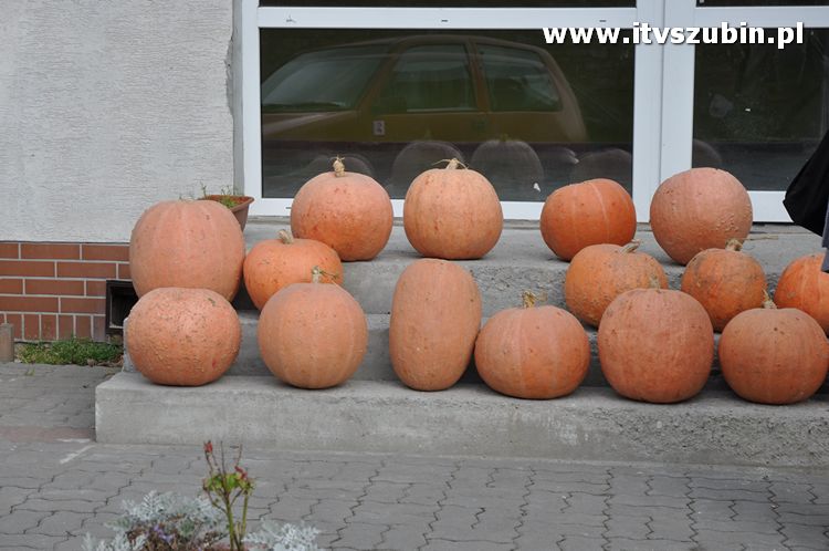 Płonąca fontanna 2 w Korytarzyku - happening Macieja i Tomka