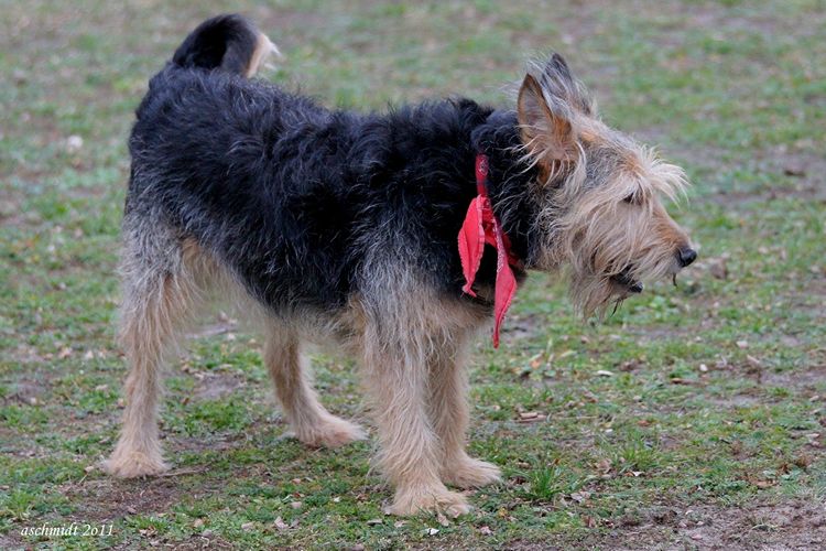 LKS Szubinianka Szubin - MKS Start Radziejów 2:1