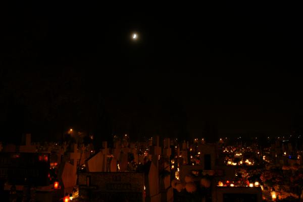 Nocny spacer po cmentarzu w blasku lampionów i księżyca