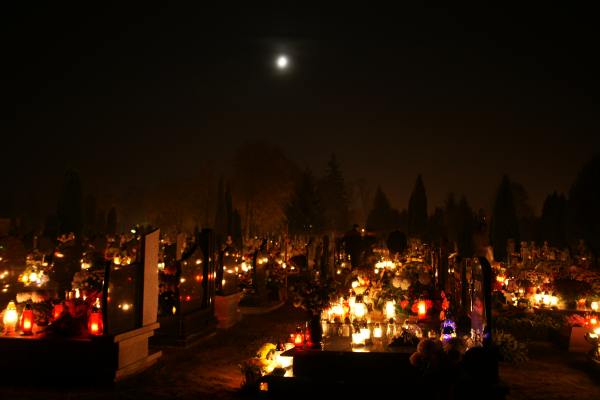 Nocny spacer po cmentarzu w blasku lampionów i księżyca