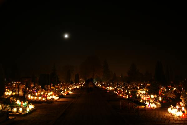 Nocny spacer po cmentarzu w blasku lampionów i księżyca