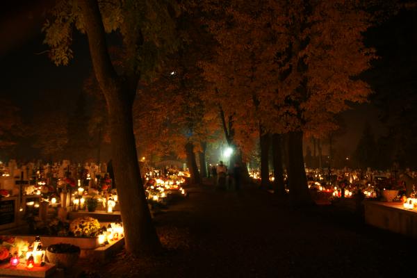 Nocny spacer po cmentarzu w blasku lampionów i księżyca