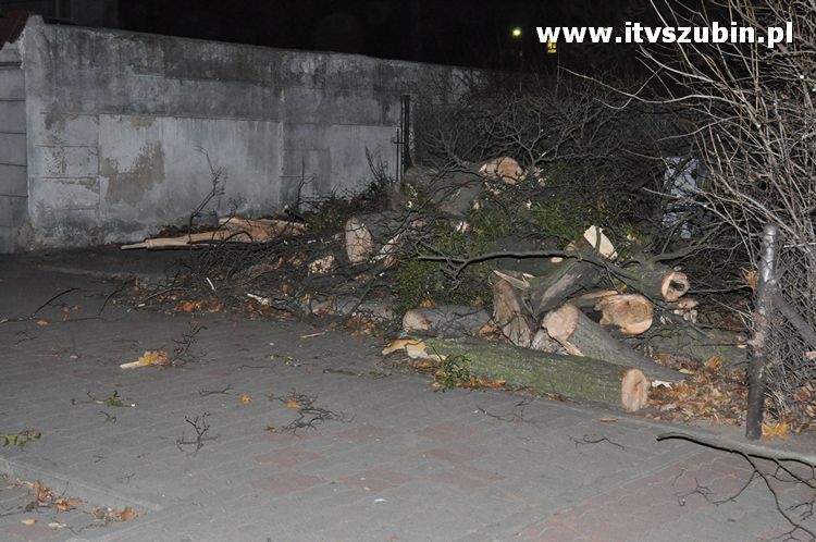 Pracowita noc Służb Mundurowych