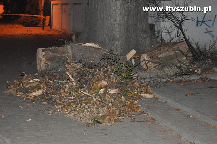 Pracowita noc Służb Mundurowych