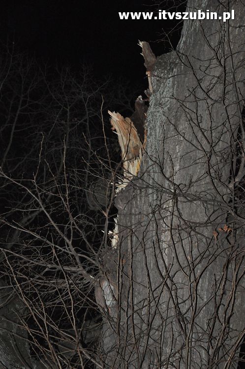 Pracowita noc Służb Mundurowych