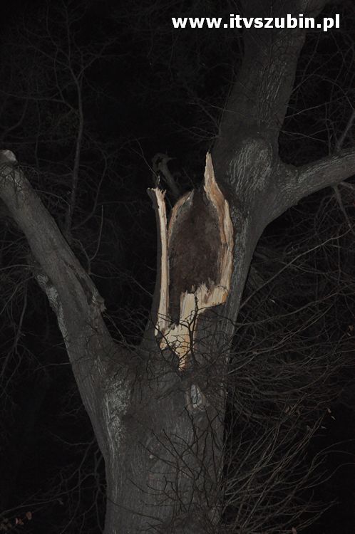 Pracowita noc Służb Mundurowych