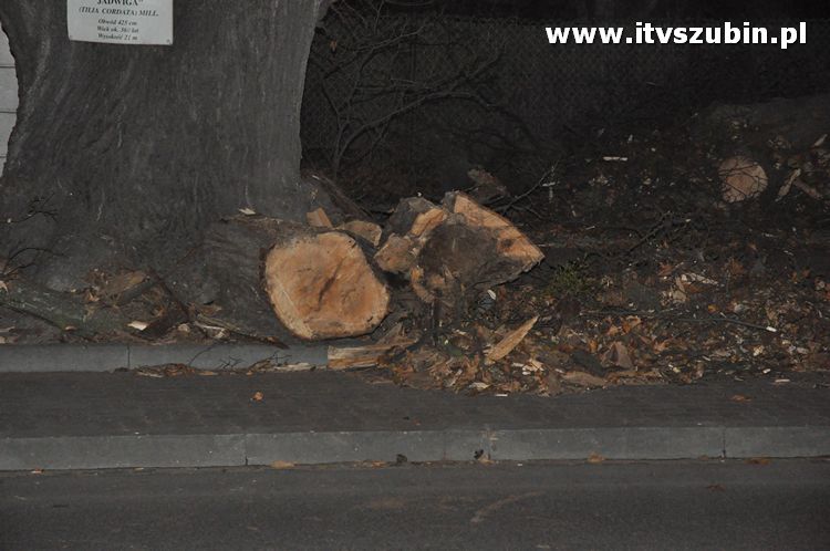Pracowita noc Służb Mundurowych