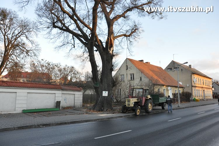 Pracowita noc Służb Mundurowych