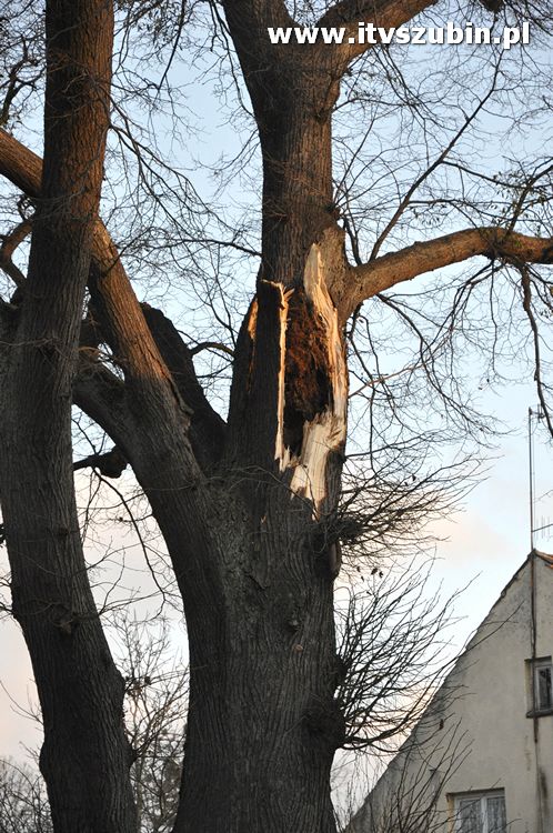 Pracowita noc Służb Mundurowych