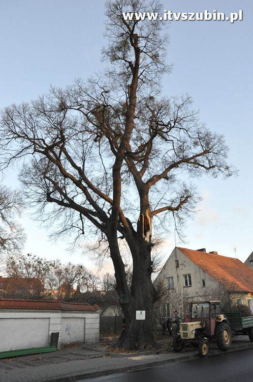 Pracowita noc Służb Mundurowych