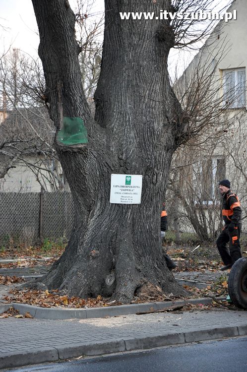 Pracowita noc Służb Mundurowych