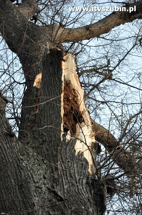 Pracowita noc Służb Mundurowych