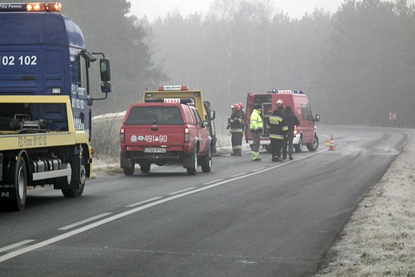 Jeden karp ofiarą kolizji, pozostałym pomogli strażacy.