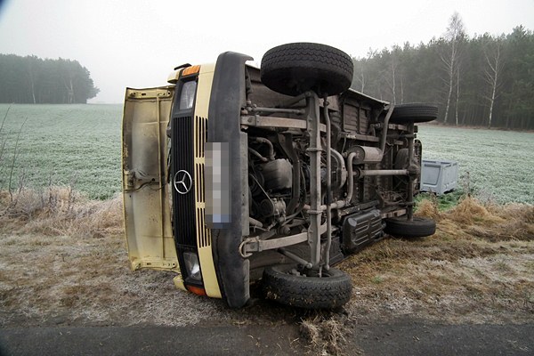 Jeden karp ofiarą kolizji, pozostałym pomogli strażacy.