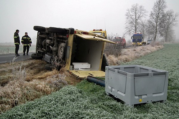 Jeden karp ofiarą kolizji, pozostałym pomogli strażacy.